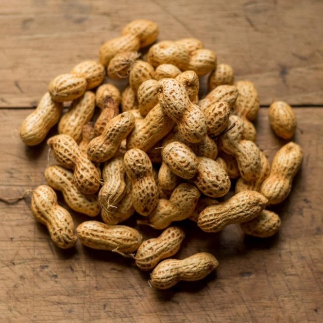 botanic-elixir-peanut
