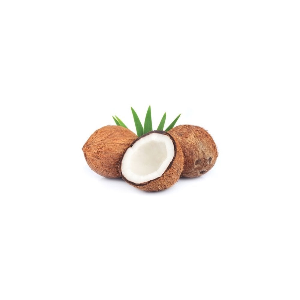 flavour-italia-coconut