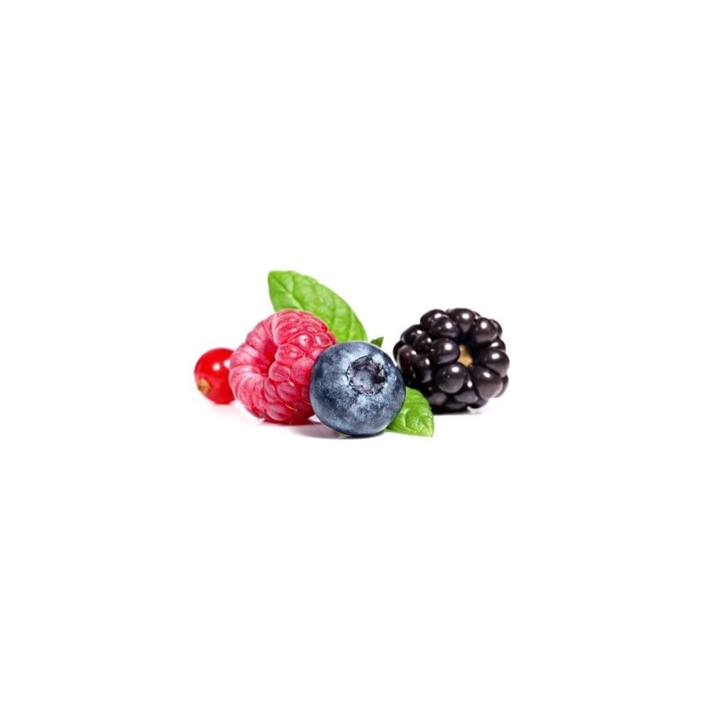 flavour-italia-forest-fruits