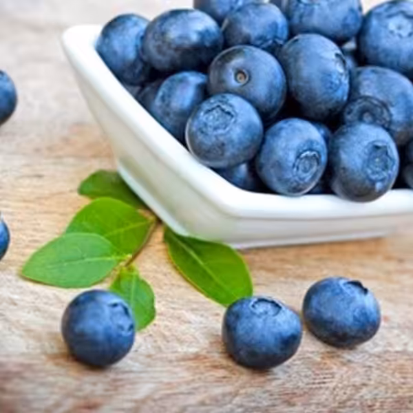 tfa-blueberry-wild tfa blueberry wild