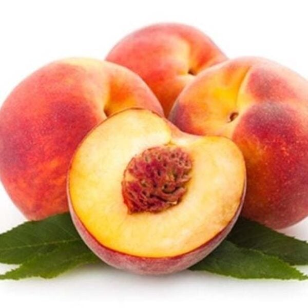 tfa-nectarine tfa nectarine