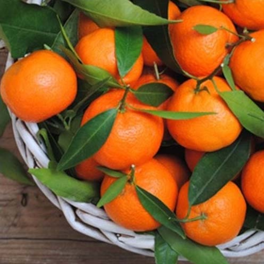 tfa-orange-mandarin